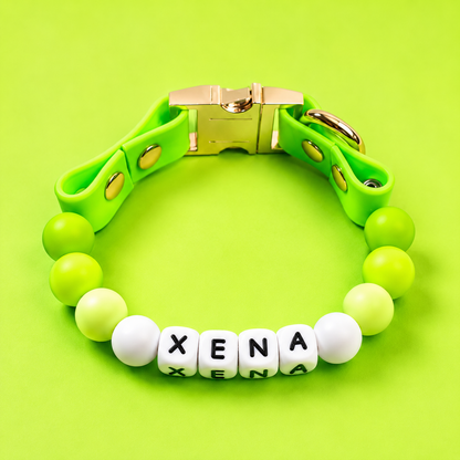 Fureverlink collar